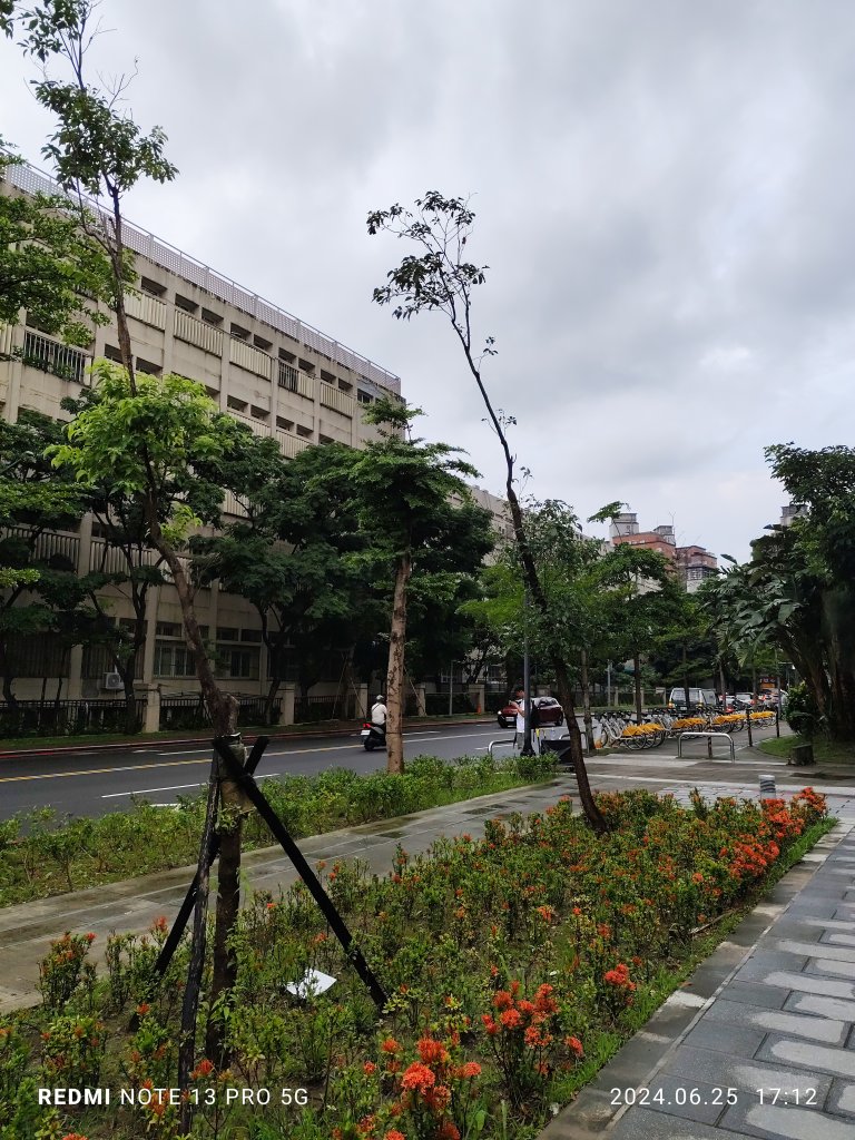 大安森林公園【走路趣尋寶】；大港墘公園、瑞陽公園【臺北健走趣】_2535210