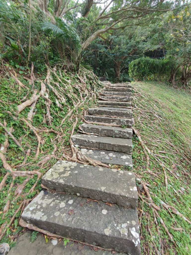 草嶺古道/桃源谷步道芒花季_2411403