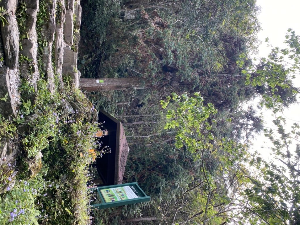 瓦拉米我來了_2115728