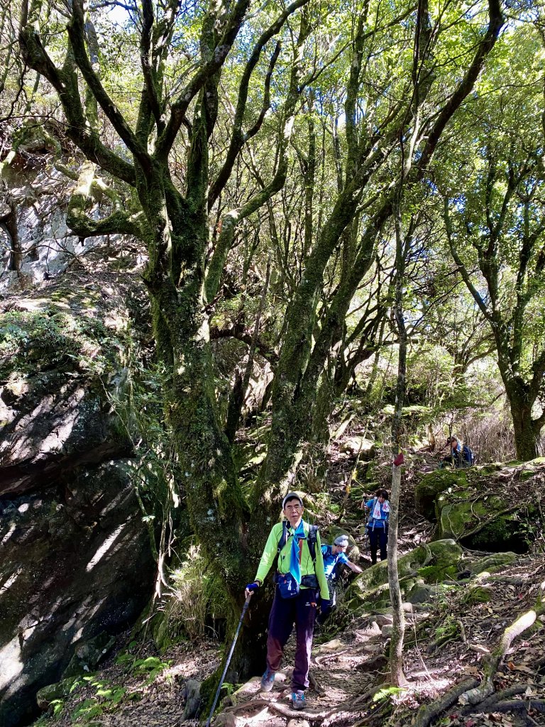 加里山縱走虎山    2021/12/4_1539150
