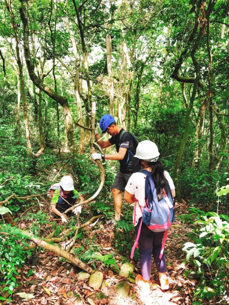 童軍團手作步道體驗in大坑5-1步道_580891