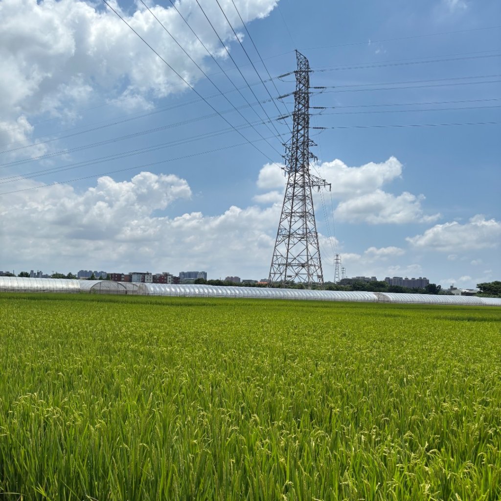 250621 霄裡好風光一日遊_2883055