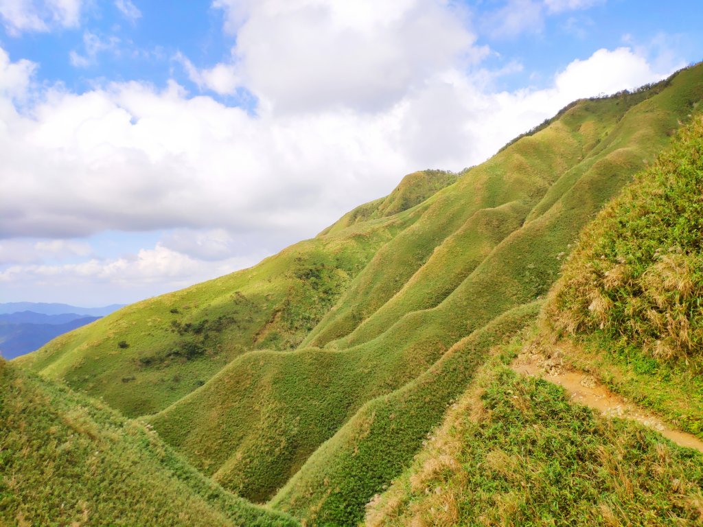 抹茶山封面圖