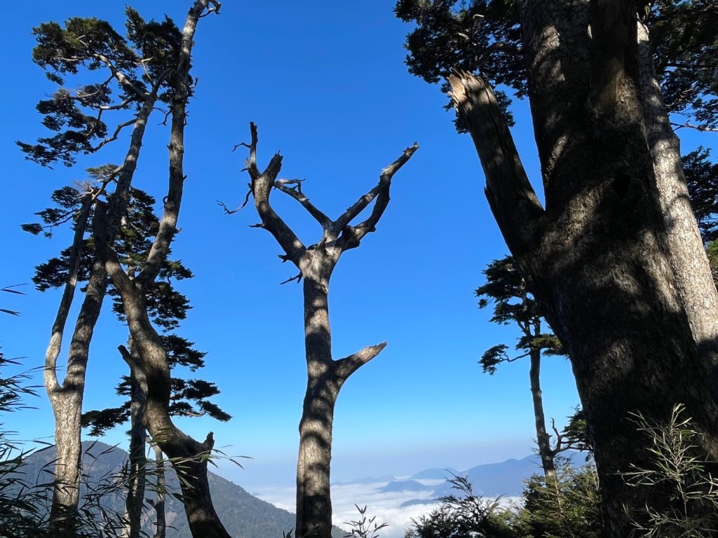 一日南橫二星人品爆發_2995774