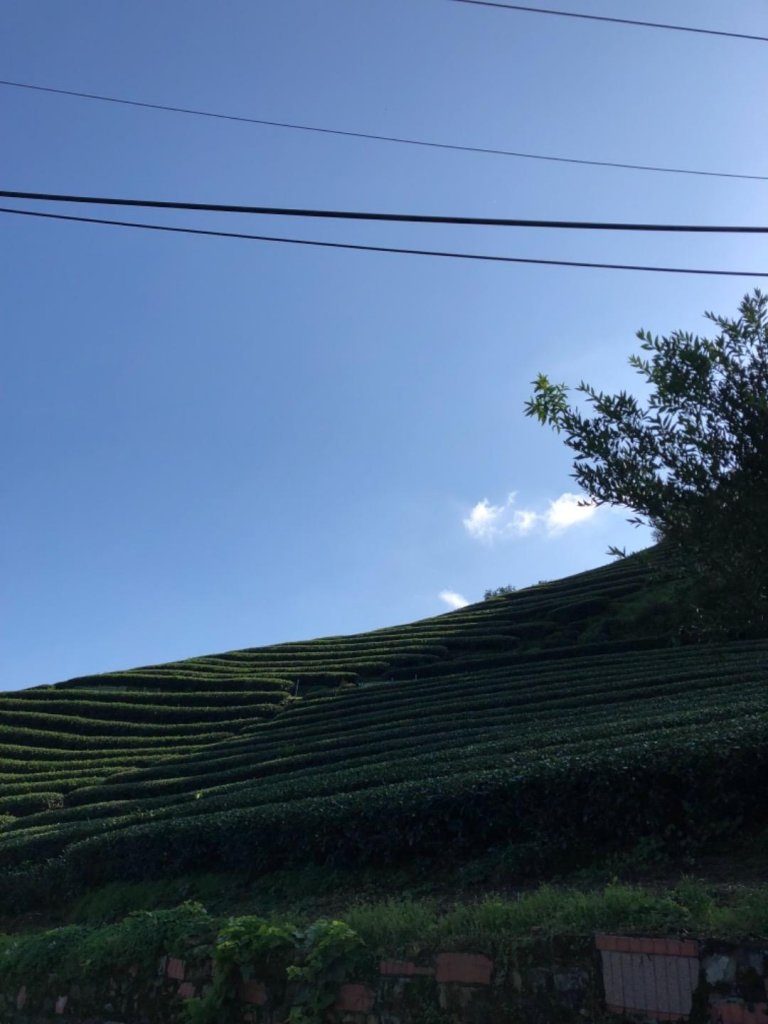 小格頭獅頭山鱷魚島20181130_468880