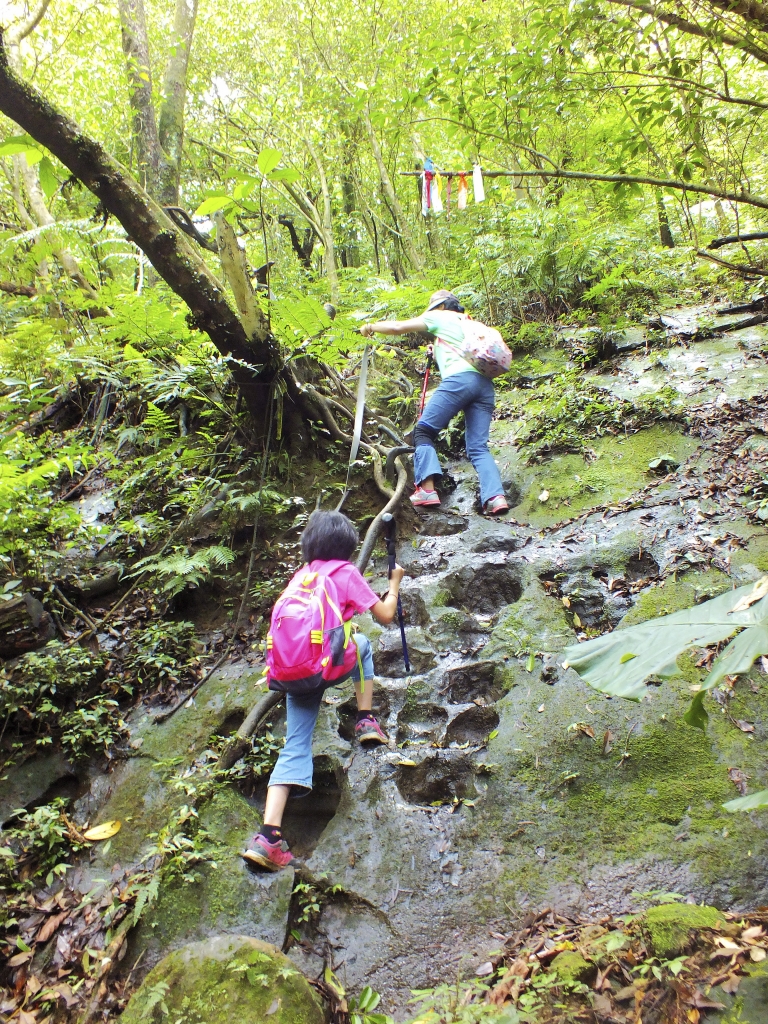 東勢格越嶺步道封面圖