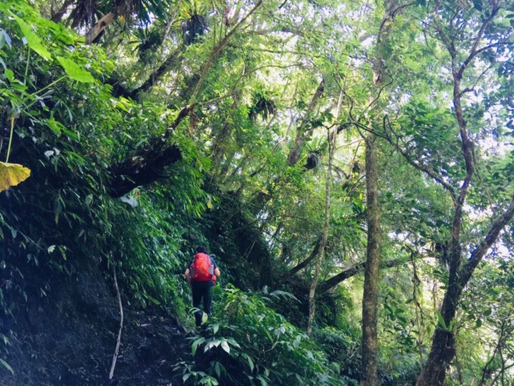 哈盆野營_1024932