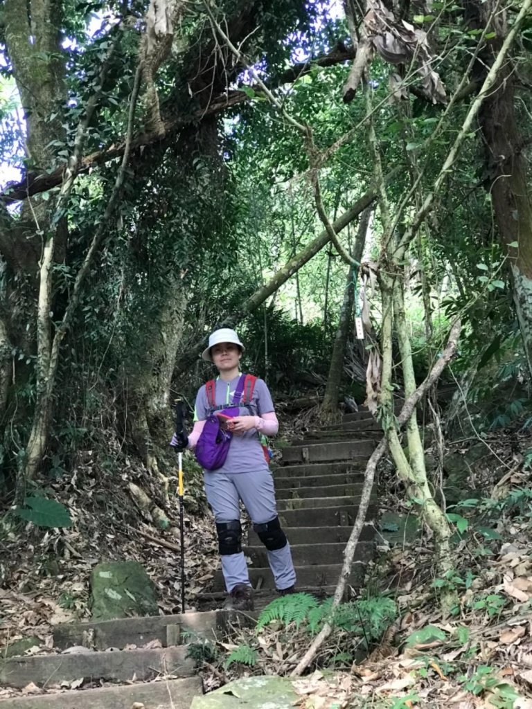 樟腦寮車站上獨立山奉天岩泡茶煮泡麵大巃頂看群峰美景_470021