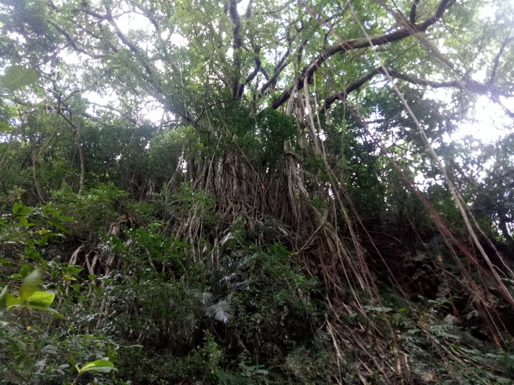 女仍山+四重溪溫泉封面圖