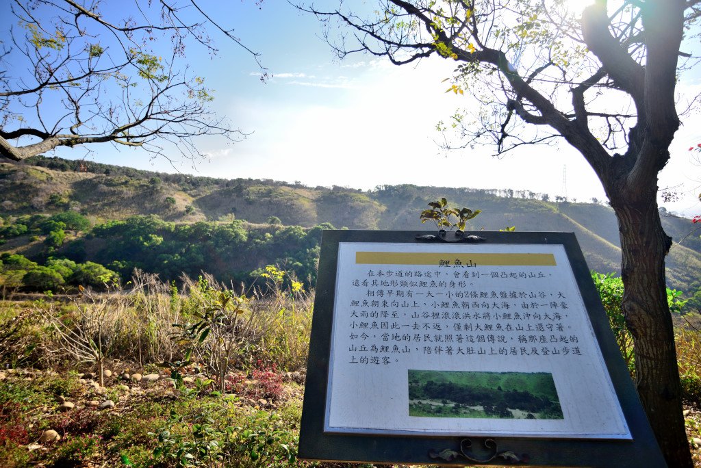 龍井南寮步道_545460