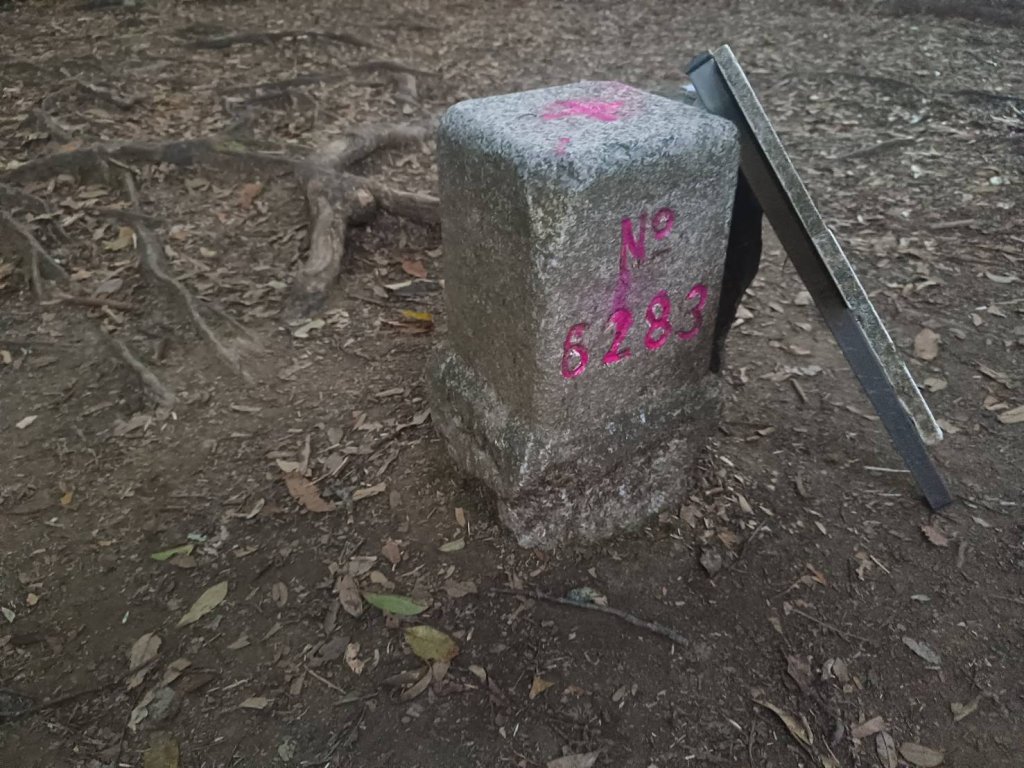 20241228之向天湖山 加里山 哈堪尼山 虎山西南峰 南大龜山 三角湖山_2688685