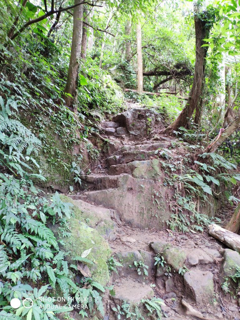 五指山五連峰純路況_530485