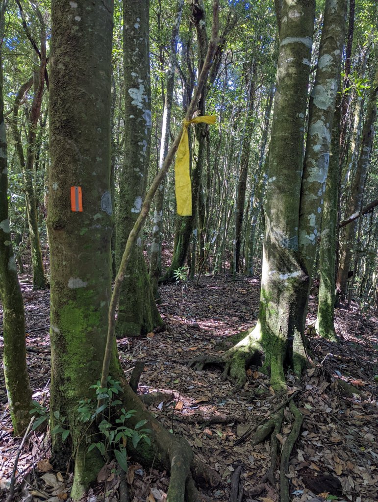 谷關七雄：八仙山_1744083