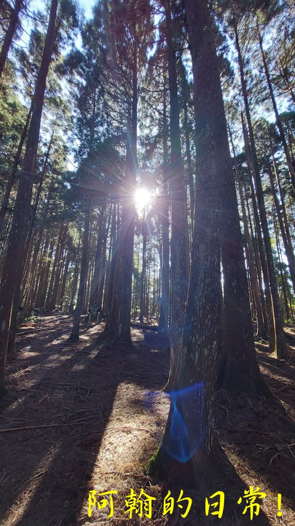高島縱走_2686895