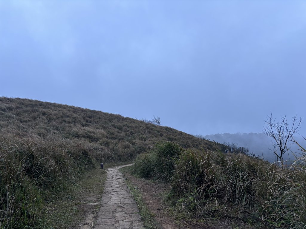 陽明山東西大縱走-東段_2984517
