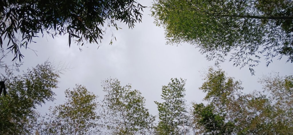 2025 1/27 石壁山_2700027