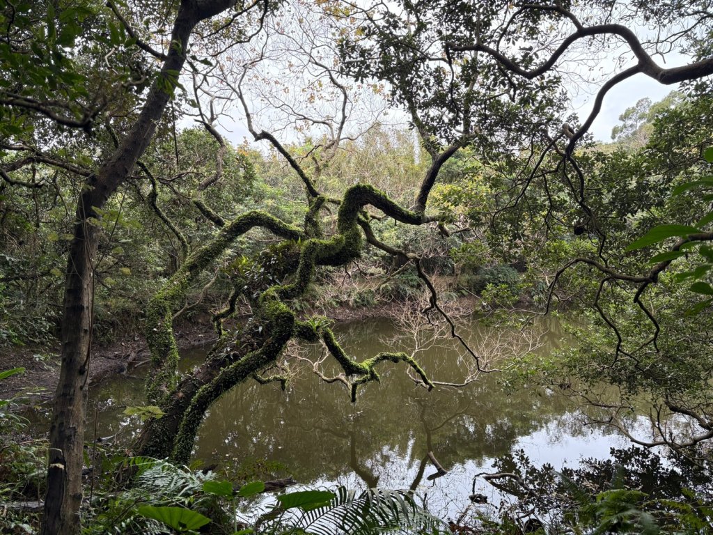 五酒桶山、南崁山_2693329