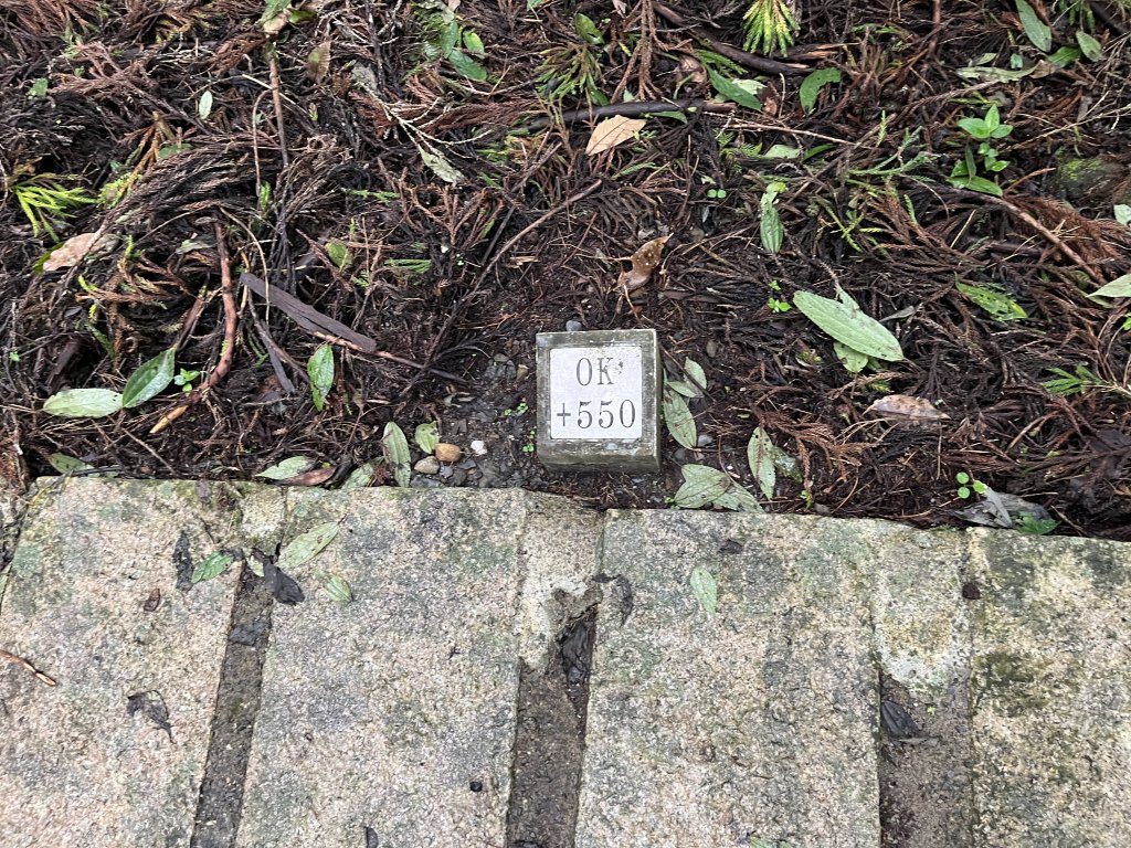 [嘉遊好步道．來嘉走走-04/10] 2024_1011 阿里山頂湖步道_2624673