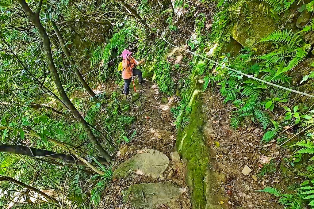 淡蘭古道中路百年山徑~暖東峽谷大環步道_2846405