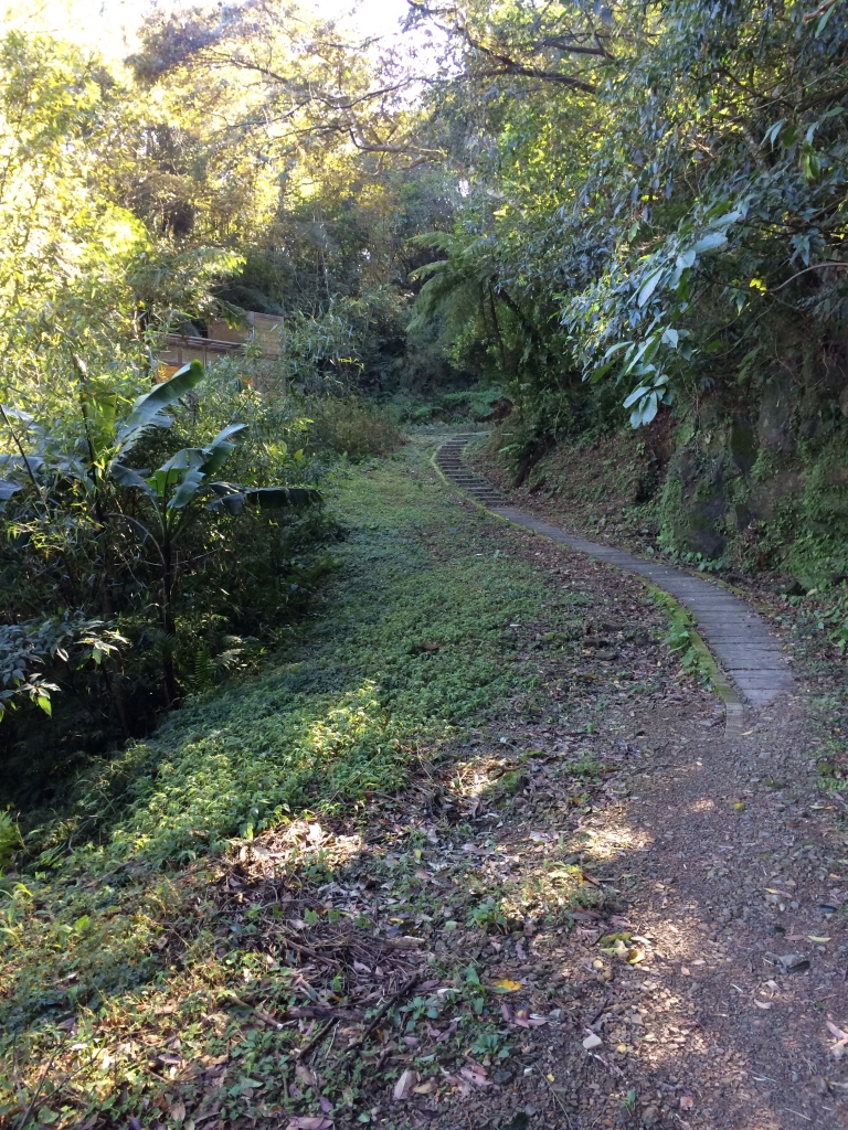 山岳之美 獅頭山_8558