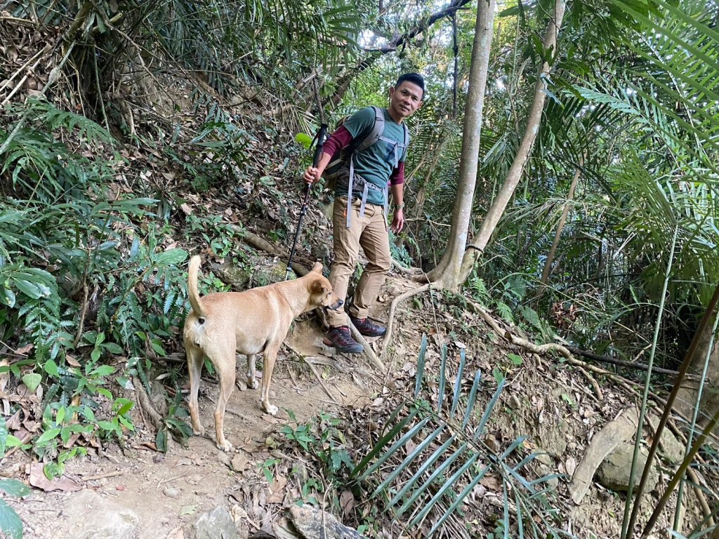 金童山.汶水山.玉女山【冬天的郊山縱走=高山等級的享受】_2680919