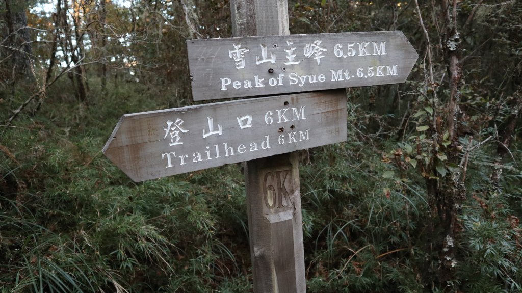 志佳陽大山登山健行趣(百岳47號)_1922465