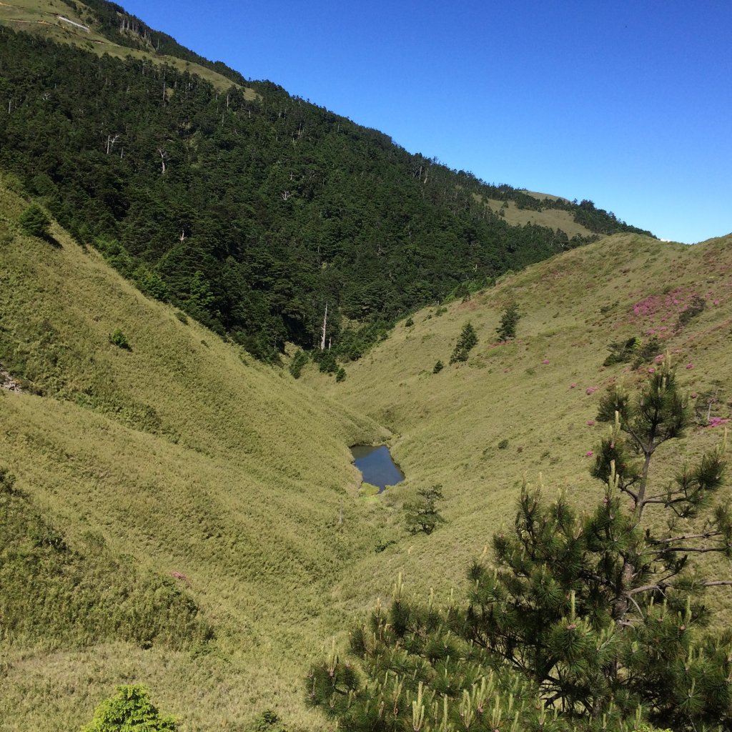 良尉家登山日記封面圖