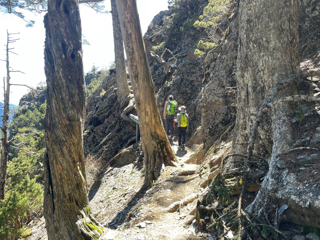 【健人HIKERS】兩天一夜玉山主峰、玉山西峰_2769148