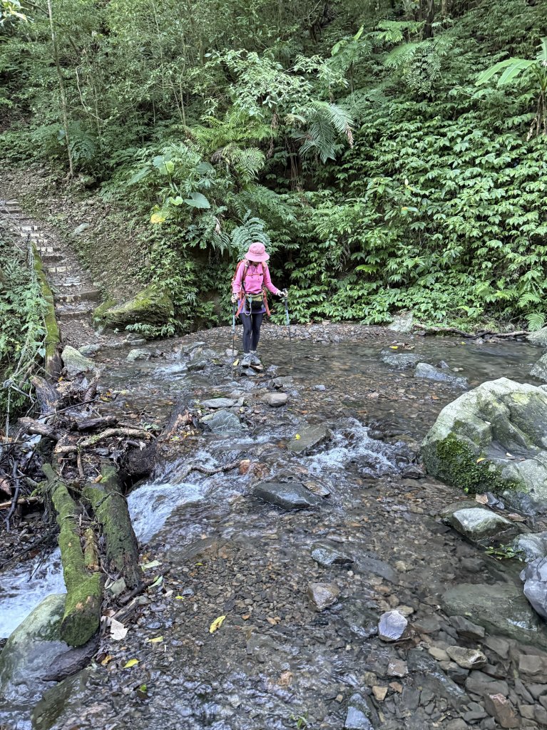 山毛櫸掉光光的 卡保逐鹿O繞 20251115_2937443