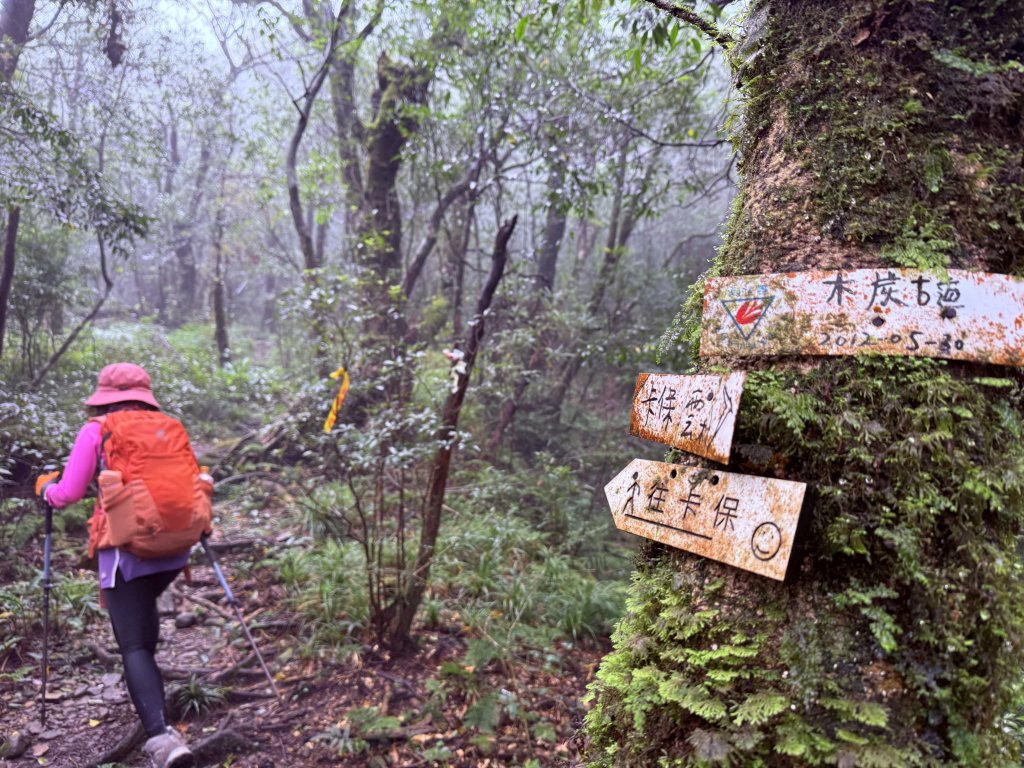 山毛櫸掉光光的 卡保逐鹿O繞 20251115_2937458