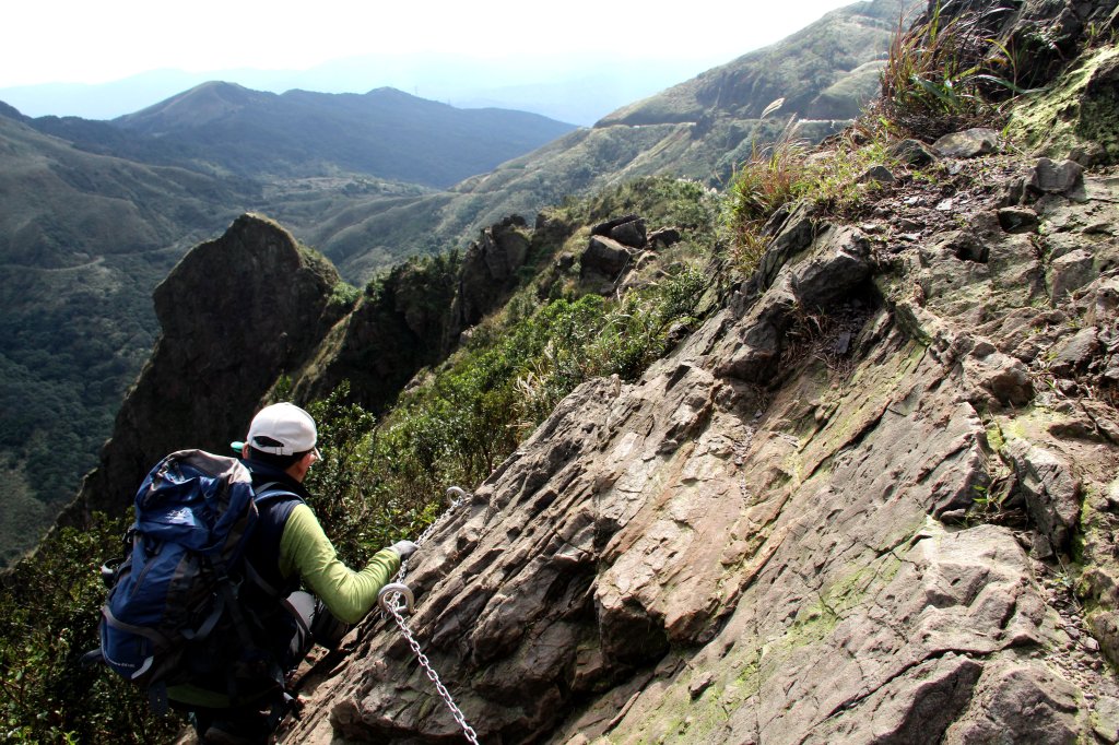 【金瓜石】漫山芒花怒放浪漫，礦山藍海奇景夢幻！_2964084