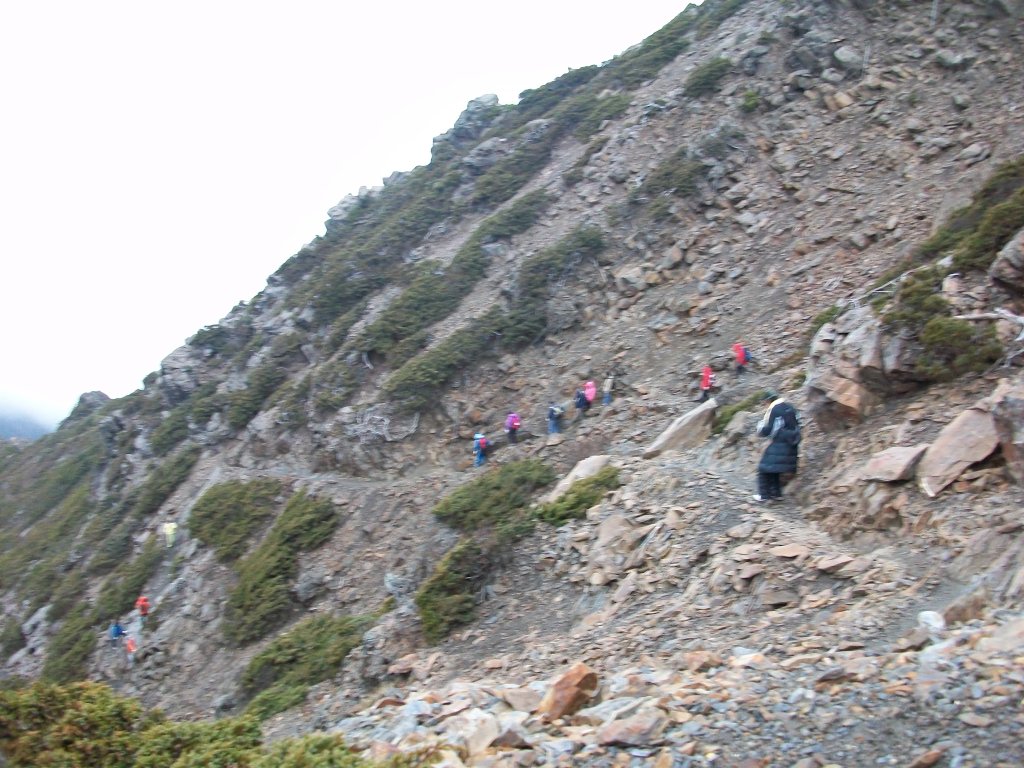 玉山主峰_2665990