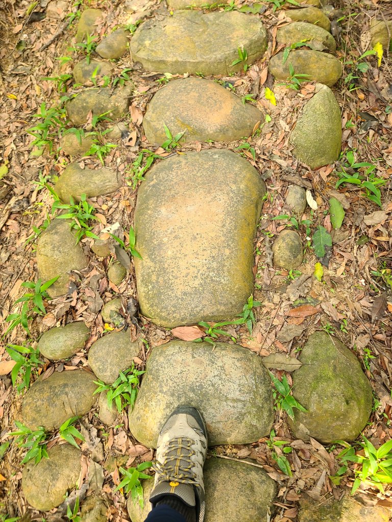 挑炭古道(三通嶺古道)+慈濟山步道_2780421