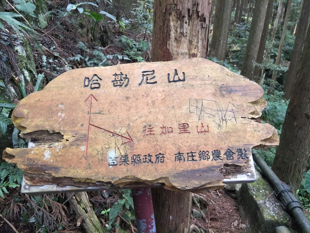 2019 03 28 哈加縱走_554002