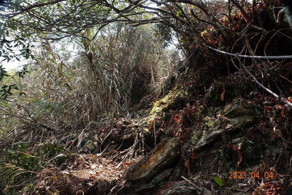 屏東 瑪家、泰武 真笠山、鱈葉根山、日湯真山_2103135