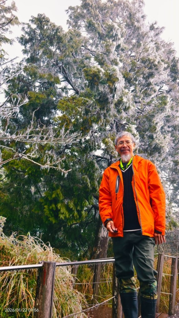 #太平山 #望洋山 #霧淞 1/22_2986064