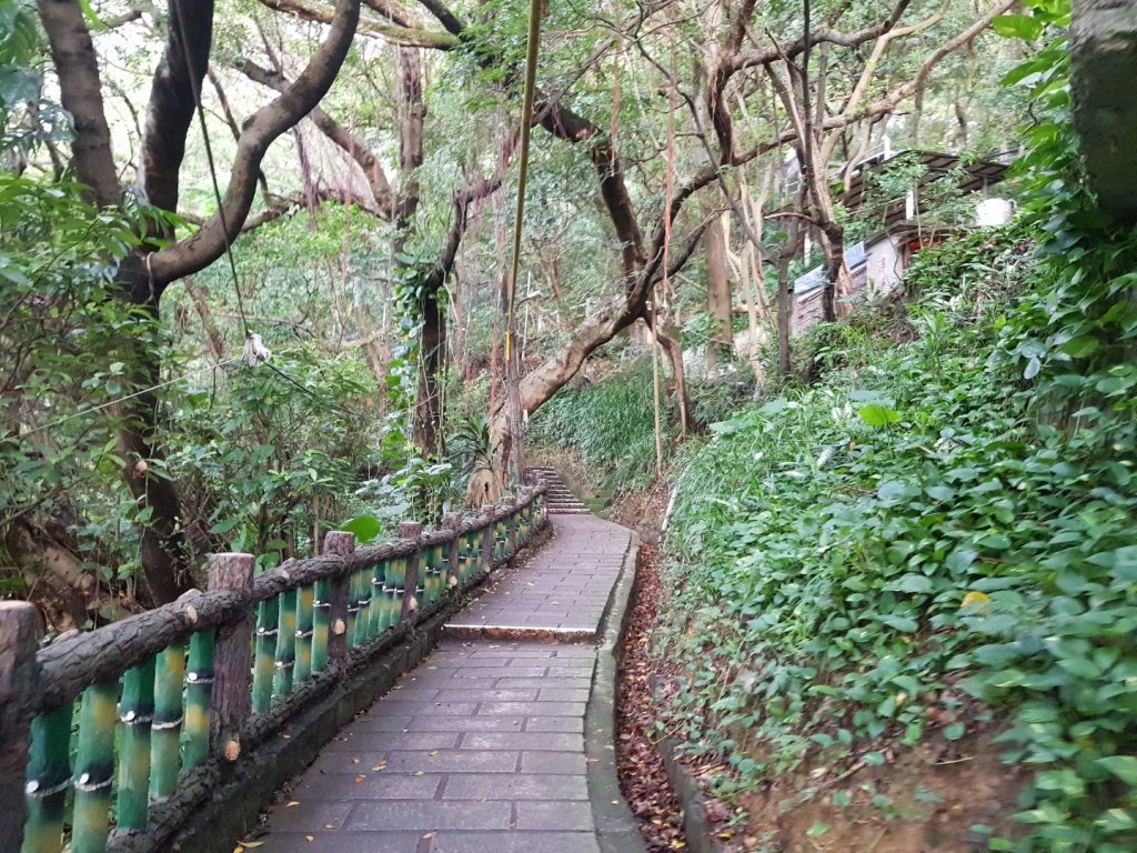 劍潭山親山步道。看夕陽_1098597