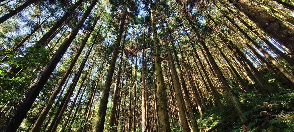 2025/09/20_鵝公髻山步道_2892238