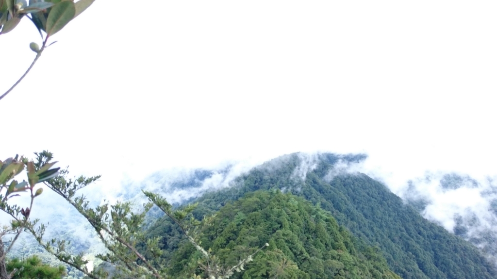 鳶嘴山步道_24405