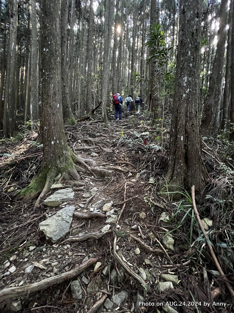民都有山就是漂亮的夏天冷氣房_2582220