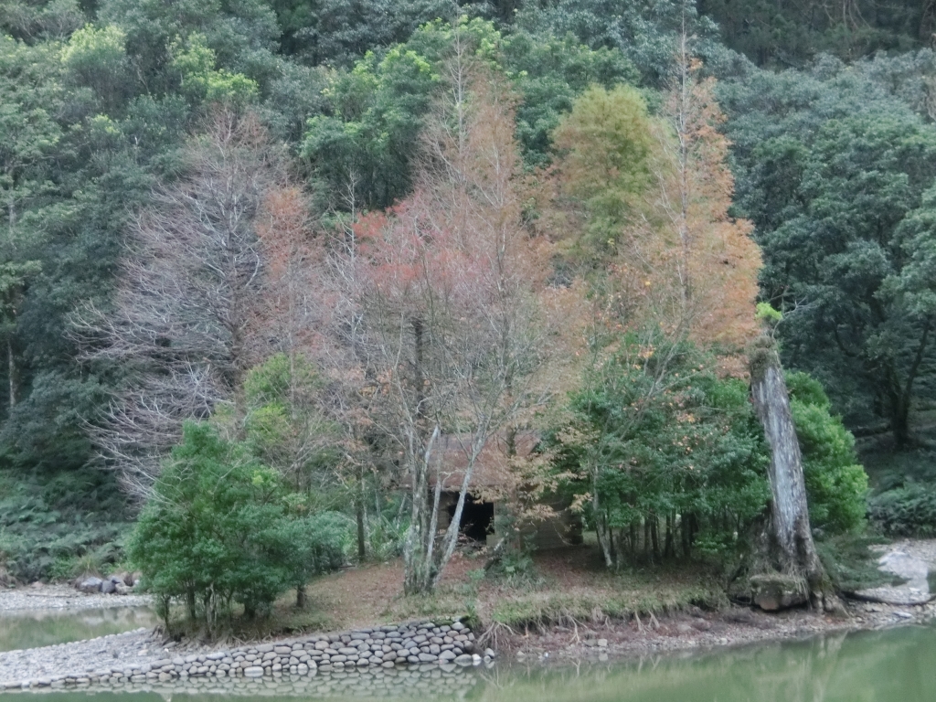 棲蘭山莊．神木園．明池_93498