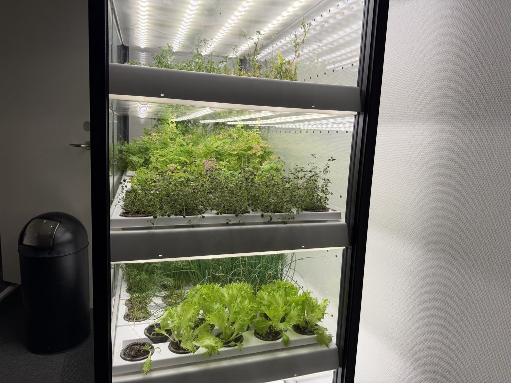 [紐約馬之行-43] 2025_1107 渡輪碼頭和市區_2951062