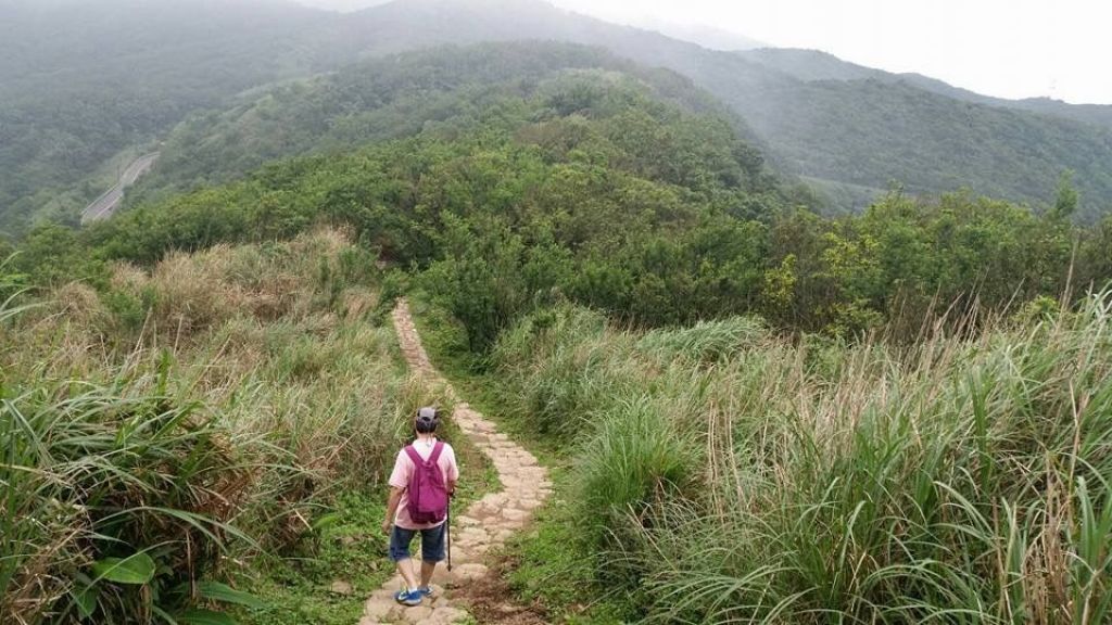 士林 頂山、石梯嶺步道_131171