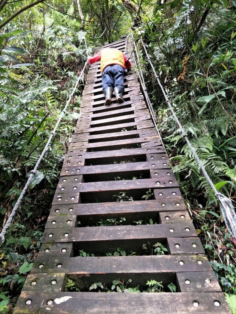 小百岳:獅仔頭山_1319058