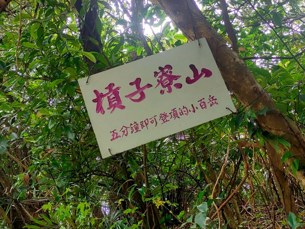 （小百岳）槓子寮山+龍崗步道+槓子寮砲台（2023/6/3）_2239563