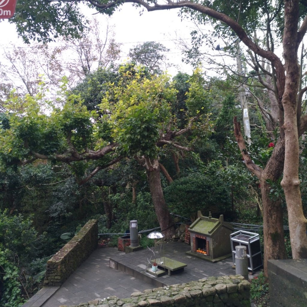 硬漢嶺登山步道_818335