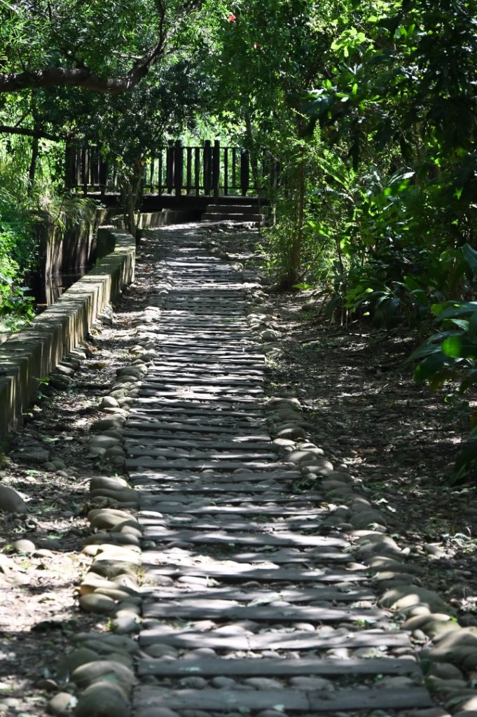 烏日 知高圳步道_2642081
