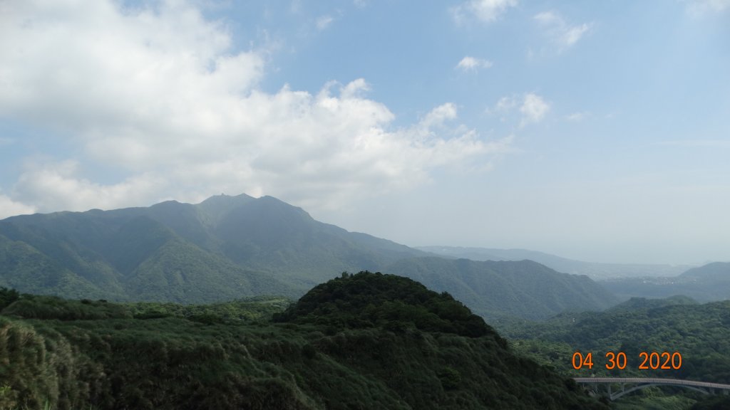 陽明山賞蝶趣_940596