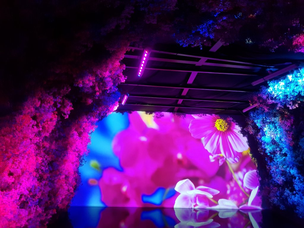 台中花博~后里馬場、花舞館_551027