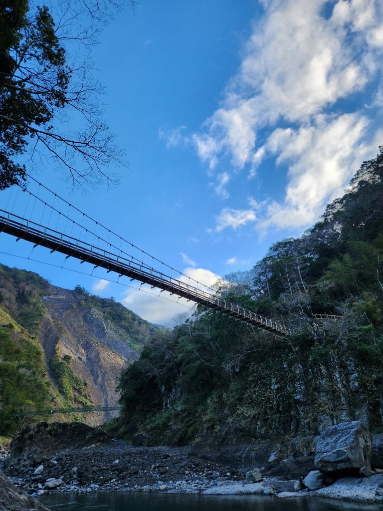 112/2/11芝生毛台山、屯野生炮台_2148128